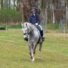 Reitertag 2026 April